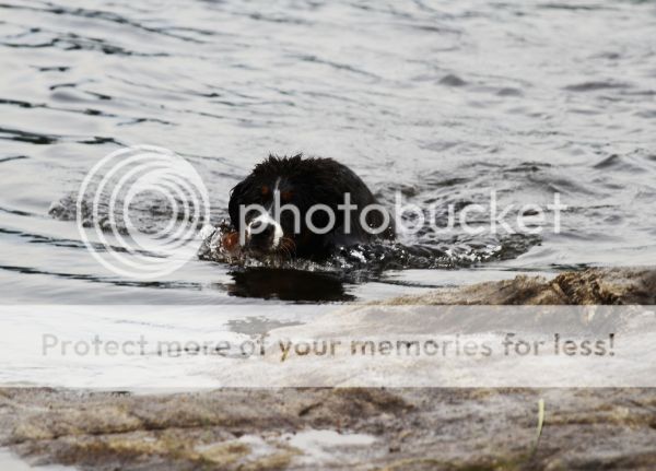 photo 7f266484-37ab-4ae6-9b75-55ba2d62b0c2_zps4a61b479.jpg