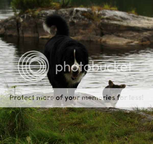 photo f1f83f1e-4119-4809-98fe-c68543c2b02f_zpse84117ca.jpg