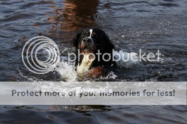 photo 0ad0c99d-0ce3-4511-9218-02acfb824c8f_zps5b2f49f6.jpg