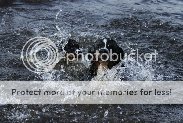 photo f14ed6c5-7c44-4d69-af66-86ec93dc857f_zps0a2163b7.jpg