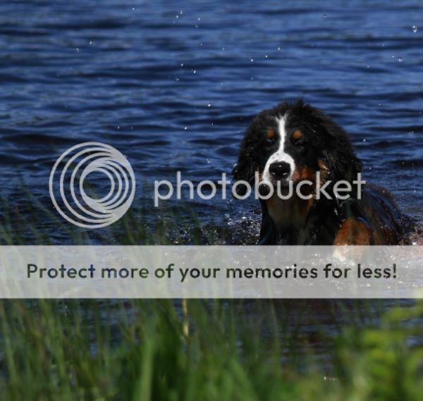 photo 05a5d663-5668-444d-b793-51a027f00eaf_zps63e61112.jpg