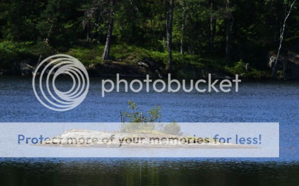 photo 3c8e76c4-2e8e-4056-8131-a90fb8ec6378_zps6da4c1c2.jpg