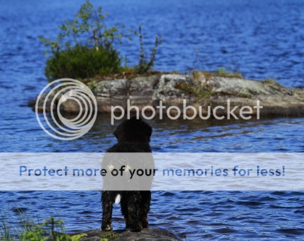 photo 72c57b55-adf1-4c82-aa2f-4afd3e9c2b6d_zps932f9bb0.jpg