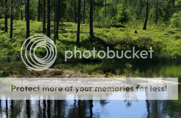 photo 97243a58-0b2b-4546-8f69-5378e87890cb_zps98c74b2b.jpg