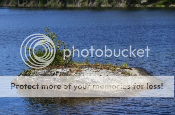 photo ac473ef6-f857-46d2-b0e3-756aab6db33c_zpsf31a89bb.jpg