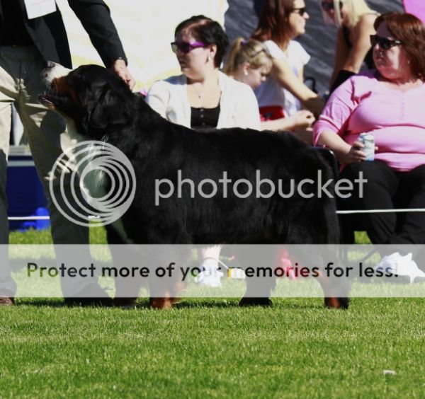 photo 170f2d96-8ebe-4fd5-b102-aa36cd7bf782_zps60dbb6c3.jpg