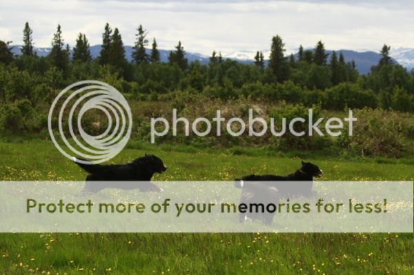 photo 63282b1e-82fc-4b0f-8475-d617712b4ba3_zpsaa1bd638.jpg