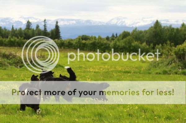 photo ea61268b-92bb-4a66-8ba7-0368b87fa160_zpsf47ded96.jpg