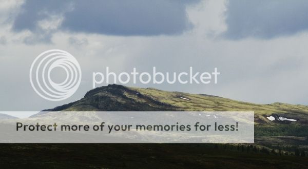 photo fed785c2-b963-4b9b-bd04-80537bf91a72_zps9d45bc32.jpg
