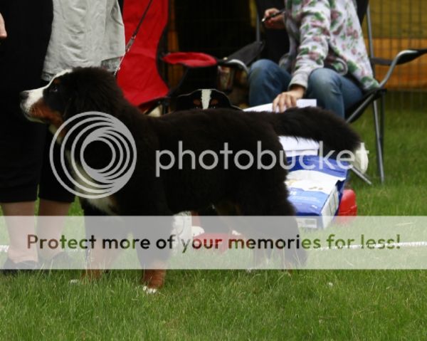 photo 2d5c1f75-c854-46eb-9982-c7d80f435b66_zps2688c3bf.jpg
