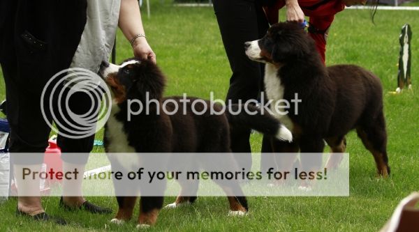 photo 87ffa28b-6df8-40d6-b6a1-4a2ecff5c8b3_zps98e38ca2.jpg