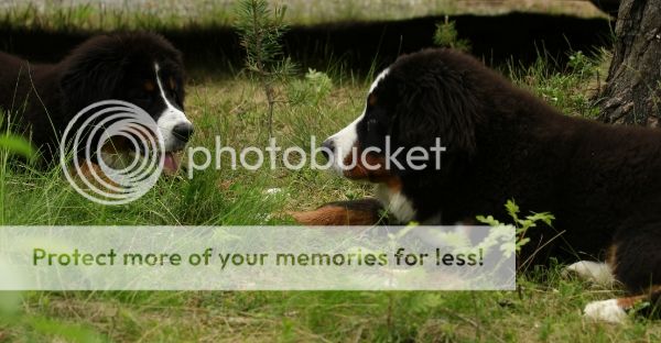 photo ac94f877-6fb5-417b-b5c9-a27b83fbe7dd_zpse9cb0629.jpg