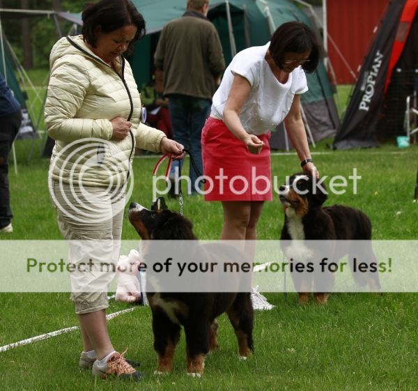 photo cba207fc-4b9e-4c67-a29b-6467b328effc_zps997ecb5f.jpg