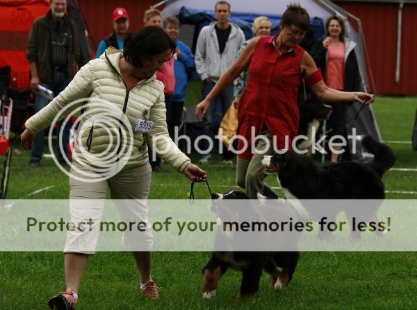 photo f6269cd8-637d-48bd-838b-24d527f94d92_zps1aab8990.jpg