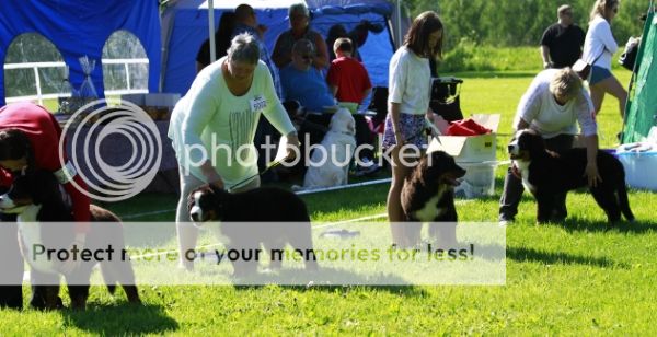 photo 61e7c2b0-c3e4-434d-9c93-2f216d962b34_zps49c4c4c0.jpg