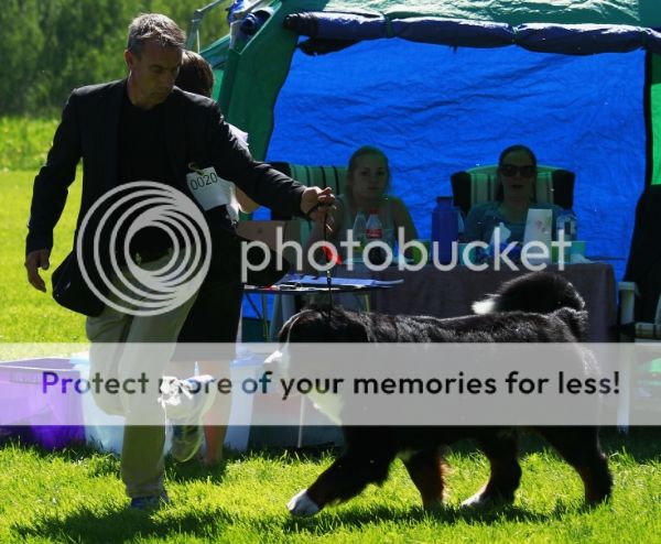 photo 816f2dcb-c191-42dc-b637-e87cebd7012d_zpsda234246.jpg