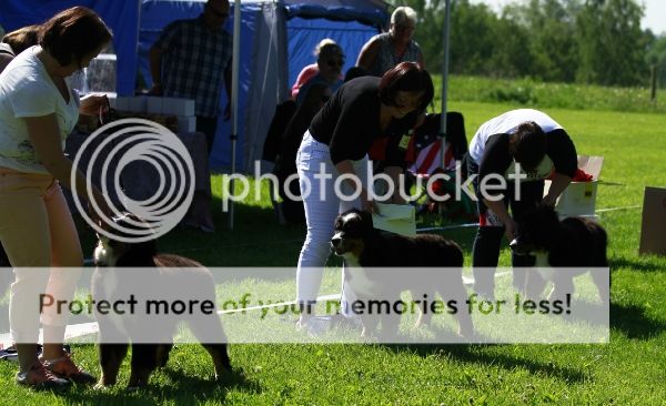 photo fea7aa09-6d77-4da5-a86b-654469b41b03_zpsea2f6bfc.jpg