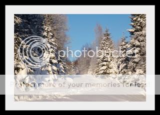 018-3-1.jpg picture by elgtun