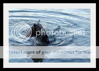 007-5-1.jpg picture by elgtun