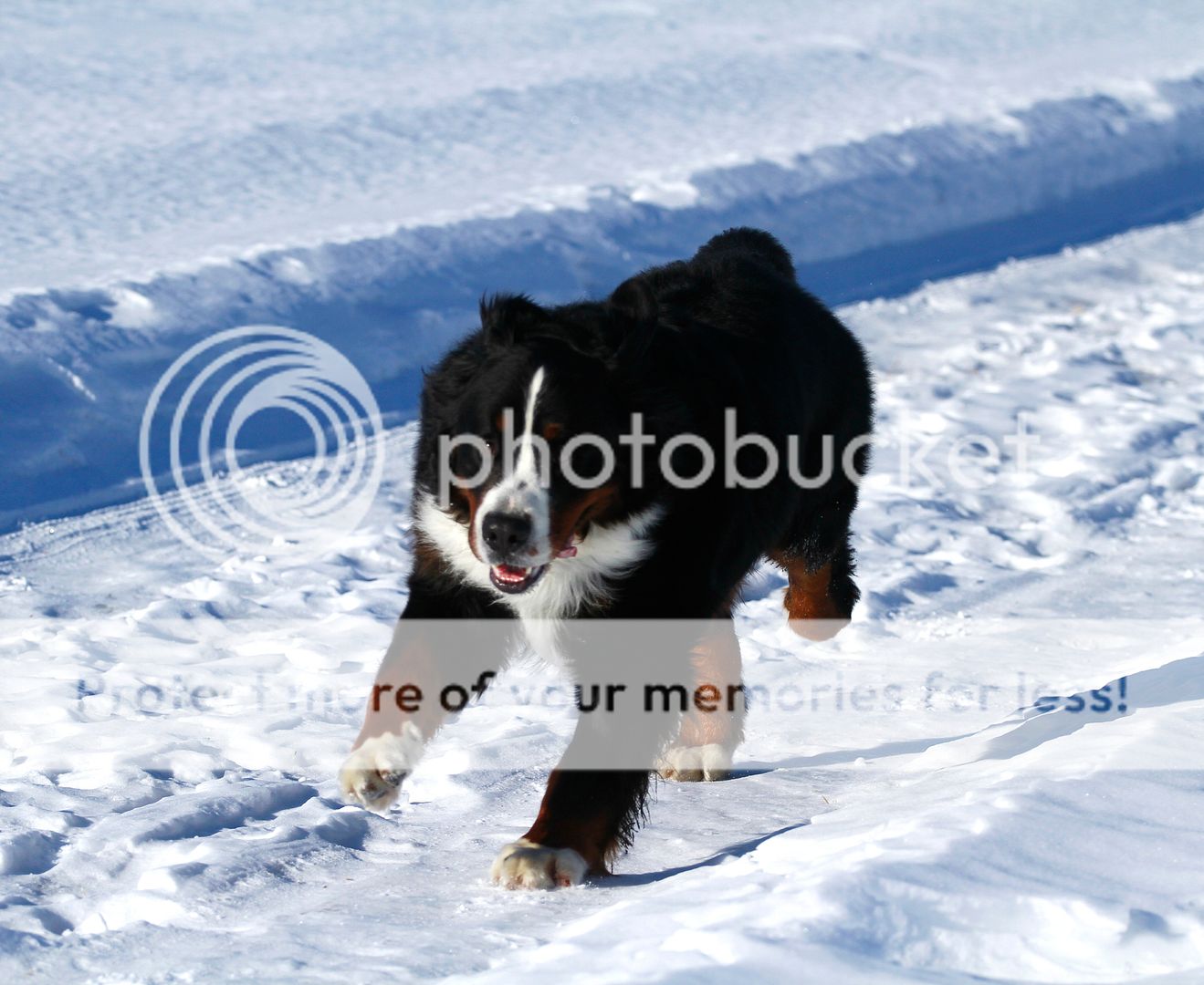 photo 017_zps7c38b7ba.jpg