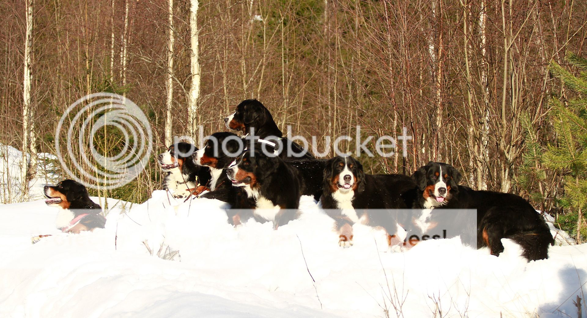 photo 035_zps6fb55db6.jpg
