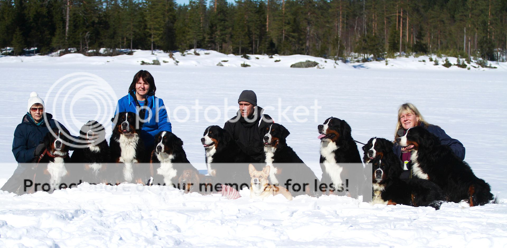 photo 034_zps907e65ed.jpg