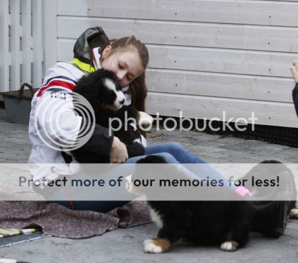 photo 32f2fc92-9f4e-4c3b-8608-70b8d55e560f_zpsba00ddf2.jpg