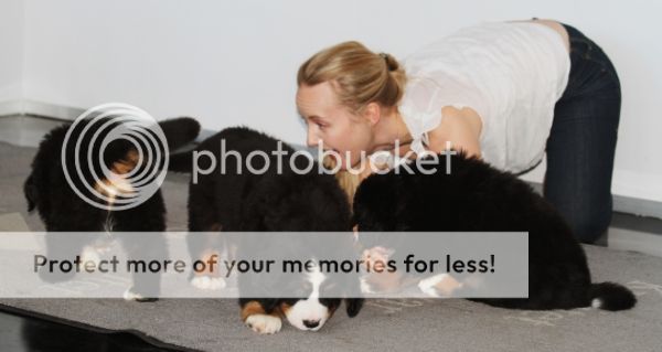 photo 69e18e64-7b9a-48c7-b60b-cadc364f8e15_zpsf1220dc5.jpg