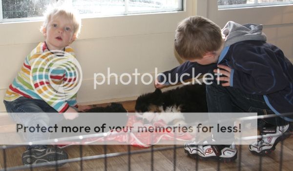 photo 30bf2b44-c833-4e83-945f-3d6a70f85e54_zps841f761f.jpg