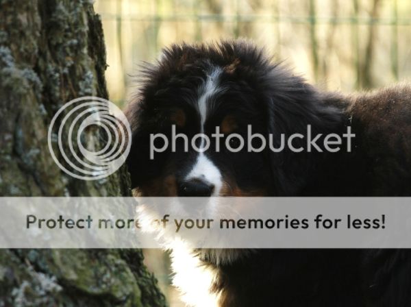 photo ac015764-2be9-4727-8845-f8b84cc38e74_zps985896cb.jpg