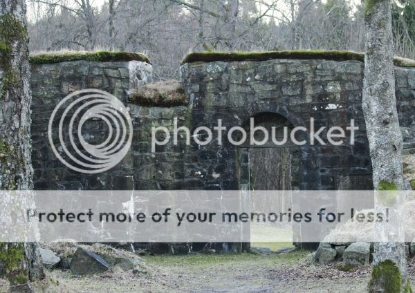 photo 32a241c7-b1ed-42f8-9098-d3f62884a4dd_zpses9ma5pw.jpg