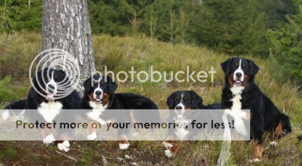 photo 0d56f91d-9330-4e01-a4e2-630afc20193e_zpsnp0daye3.jpg