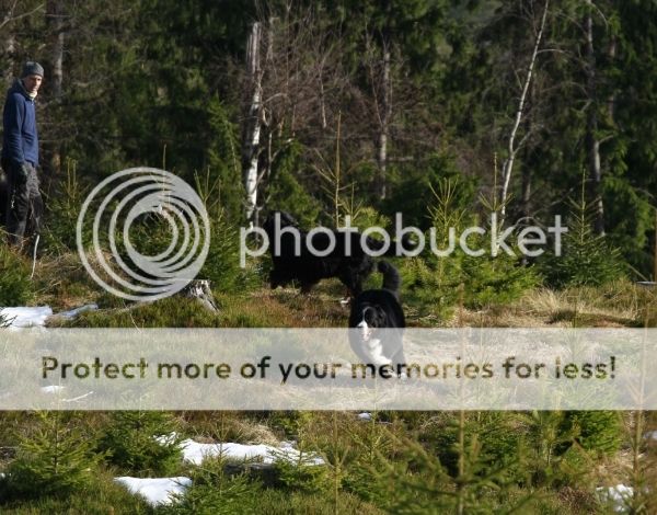 photo 11c7b44b-ba40-426d-95a6-e7c607d0d07f_zpskdtzzjkv.jpg