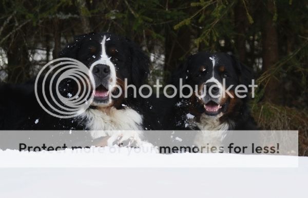 photo 65ad6f7c-6757-439b-9637-d96a847b7909_zpswoob9ka2.jpg