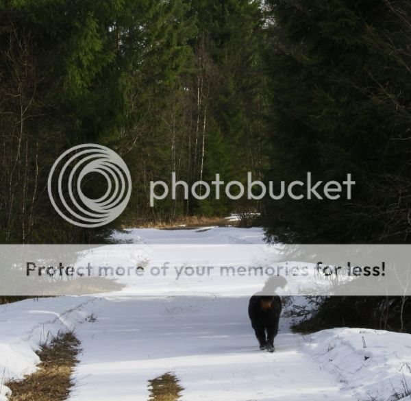photo 92b8bde4-4693-4b2f-b8d9-4bb04e556ffa_zpskp7ac3aj.jpg