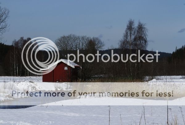 photo 2e3277cd-c833-436e-97b0-151676a47abf_zpsg7l3vd0s.jpg