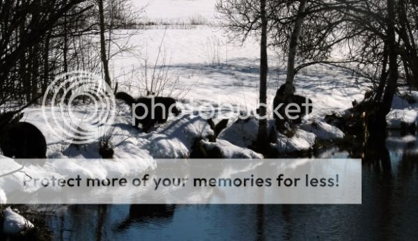 photo 3f612dda-cf8b-4364-bcf4-f8f460408cf6_zpsqfytgb3t.jpg