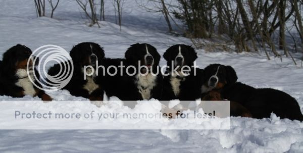 photo 6e0efe2d-1da4-4536-a479-b20a96d5e823_zpssfx3yafc.jpg