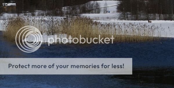 photo 96ab96e6-a08f-4b90-bd4d-e5cde022a987_zpsnmw4lhce.jpg