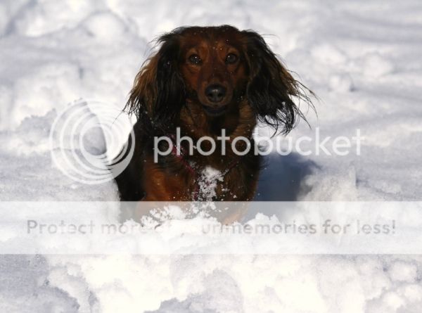 photo c798ba78-f4e6-4411-b608-ecd1b28eeb13_zpszau6wdud.jpg