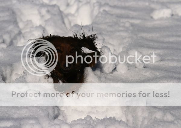 photo c8c9c571-46d3-4852-b62e-d5f2d5c0ac73_zps5cgahkyu.jpg