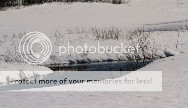 photo ca08c0d9-fbb6-423c-be60-a84ce38cee97_zpswce8bpaj.jpg