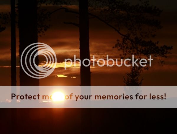 photo 56186b09-f900-4906-88b3-a997cb8e8e49_zpspomxpj3u.jpg
