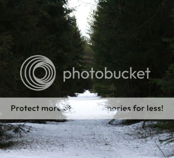 photo c6cc8f6e-43ed-4b12-a6c4-1c4792735303_zpsnsagxq0v.jpg