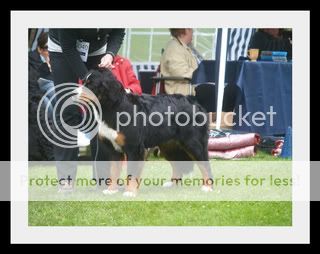 NBSKEidsvoll055-1.jpg picture by elgtun