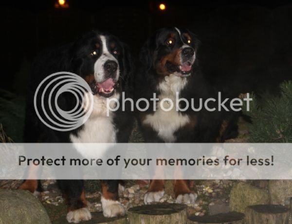 photo f58d416f-6aa2-4721-a1ea-581a1b65746e_zps1257c778.jpg