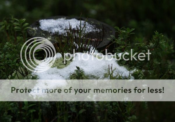 photo f5abc64f-ed65-4ee5-bfac-282355b90fec_zpsb5a32fac.jpg