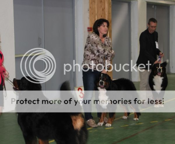 photo 0bd391ab-bbd7-42b5-97ab-d562379b22f5_zpsba7d3f0c.jpg
