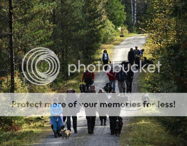 photo fb5d6a10-9c92-4ee9-8270-56ff3f1611e8_zps6d770db9.jpg