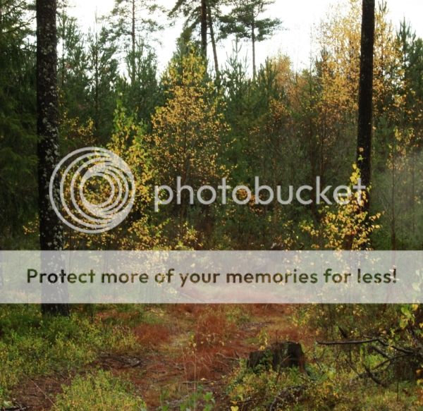photo 04907dbd-a605-44dc-856e-b52402ea6de5_zps9df9bb9a.jpg